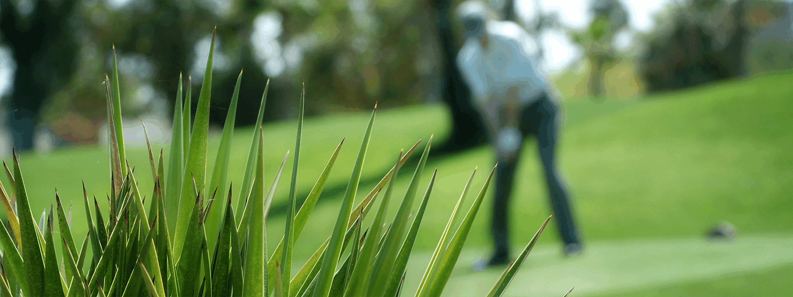 Golf Membership Tonto Verde