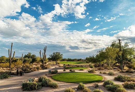 Golfer-shoeswlogo-520x354